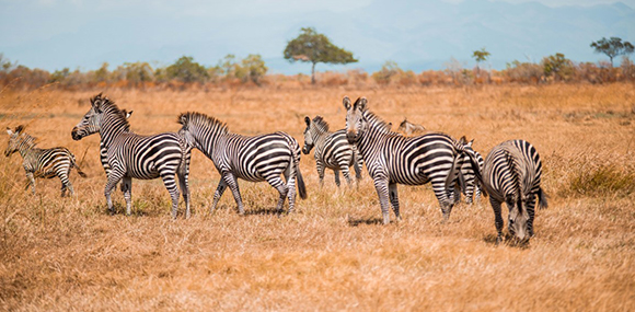 Arusha National Park